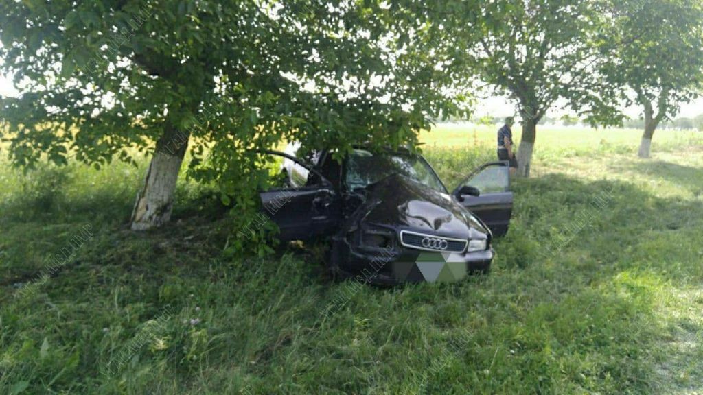 В Дубоссарах пьяный водитель едва не погиб, врезавшись в дерево