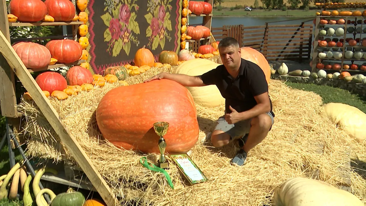Фермер из Молдовы вырастил тыкву весом 615 кг