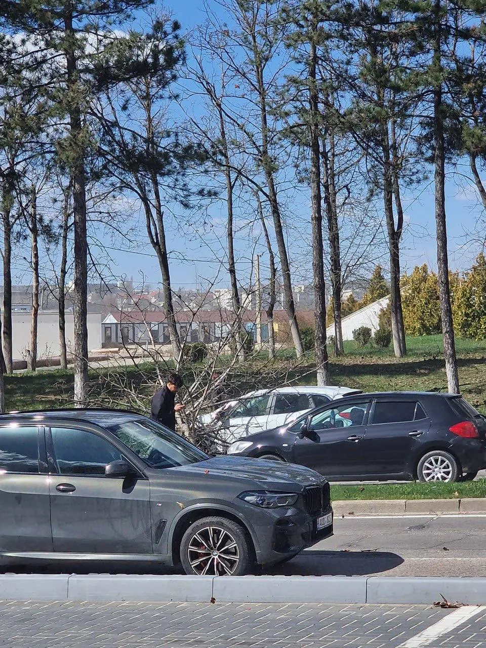 В Кишиневе на автомобиль упало дерево