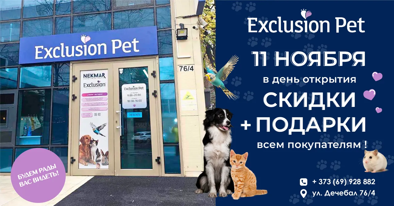Exclusion Pet: 11 ноября откроется новый магазин на улице Decebal