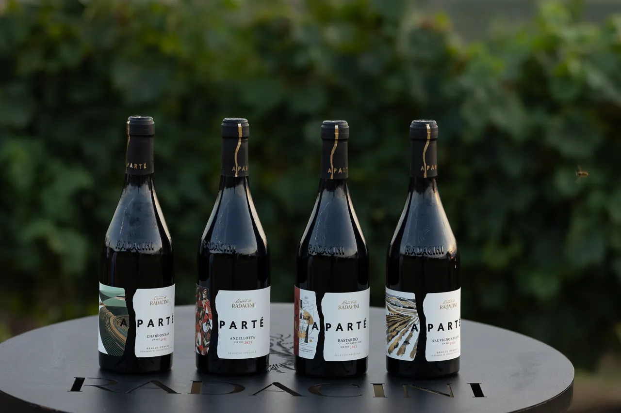 Radacini Wines — первая в Молдове винодельня с защищённым наименованием происхождением