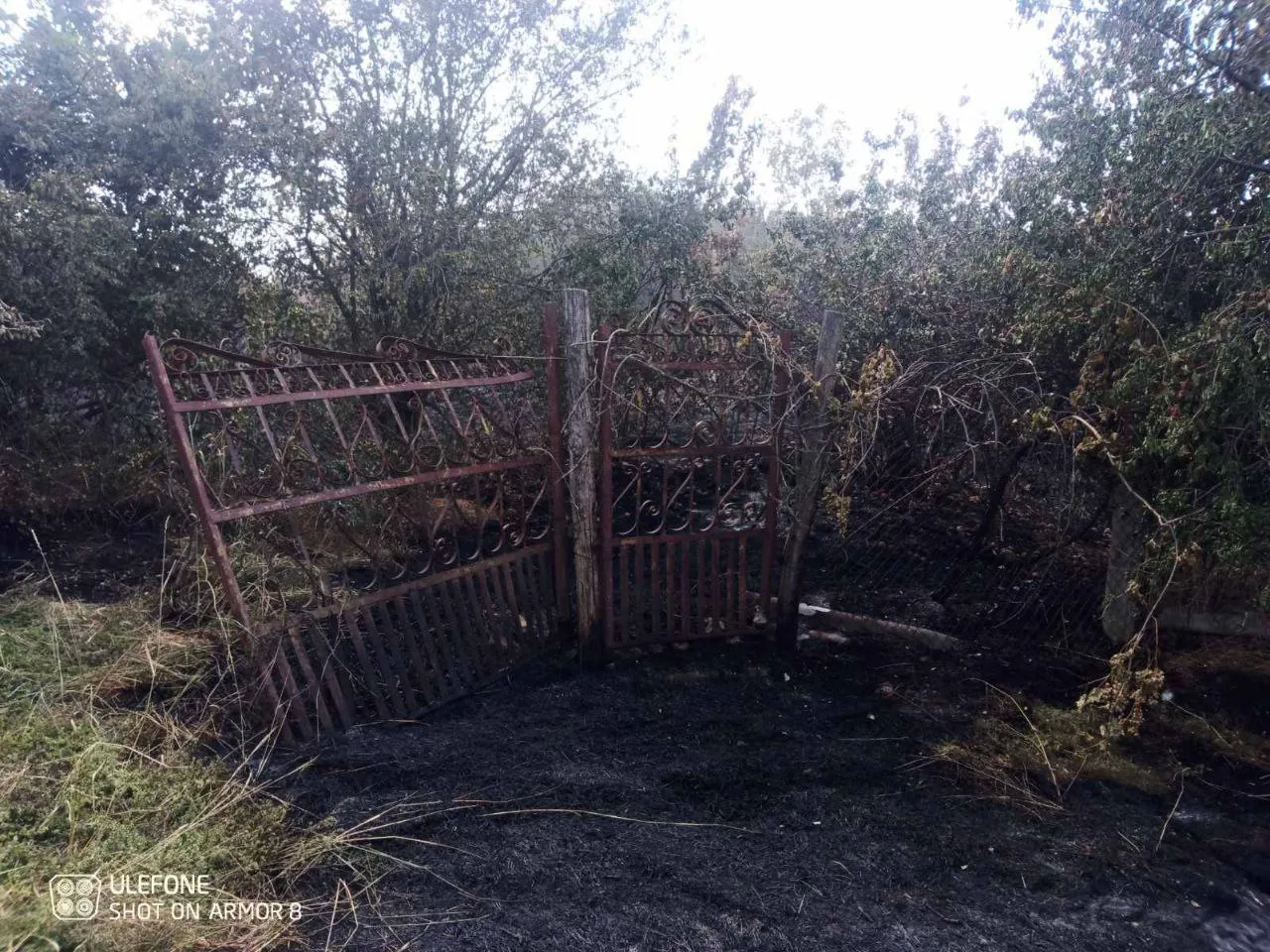 Пожар в Кантемирском районе: загорелась трава, погиб человек