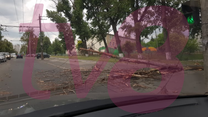 Ураган в Молдове повалил деревья