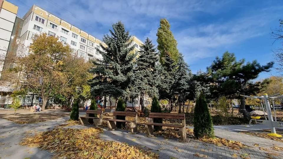 Работы по благоустройству зеленой зоны на улице Миорица близятся к завершению