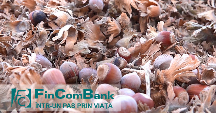 Fincombank: Процветающий семейный бизнес наших клиентов ®