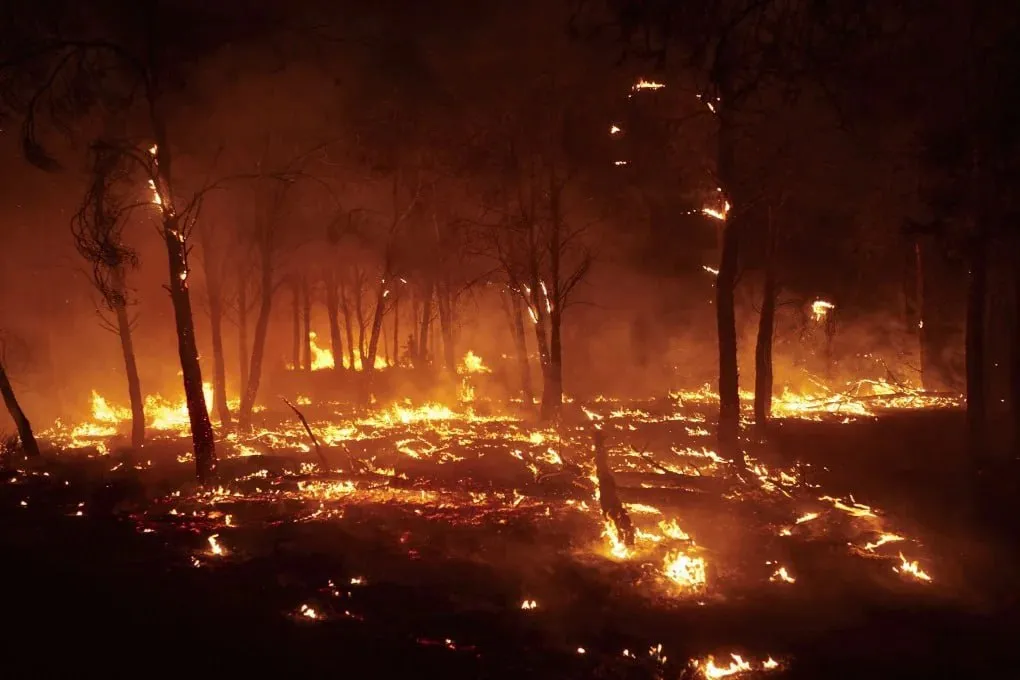 Incendiile forestiere din Turcia continuă: Locuitorii a cinci sate, evacuați