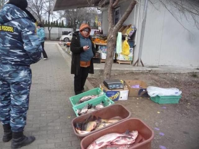 Нелегальная торговля живой рыбой в Молдове набирает обороты