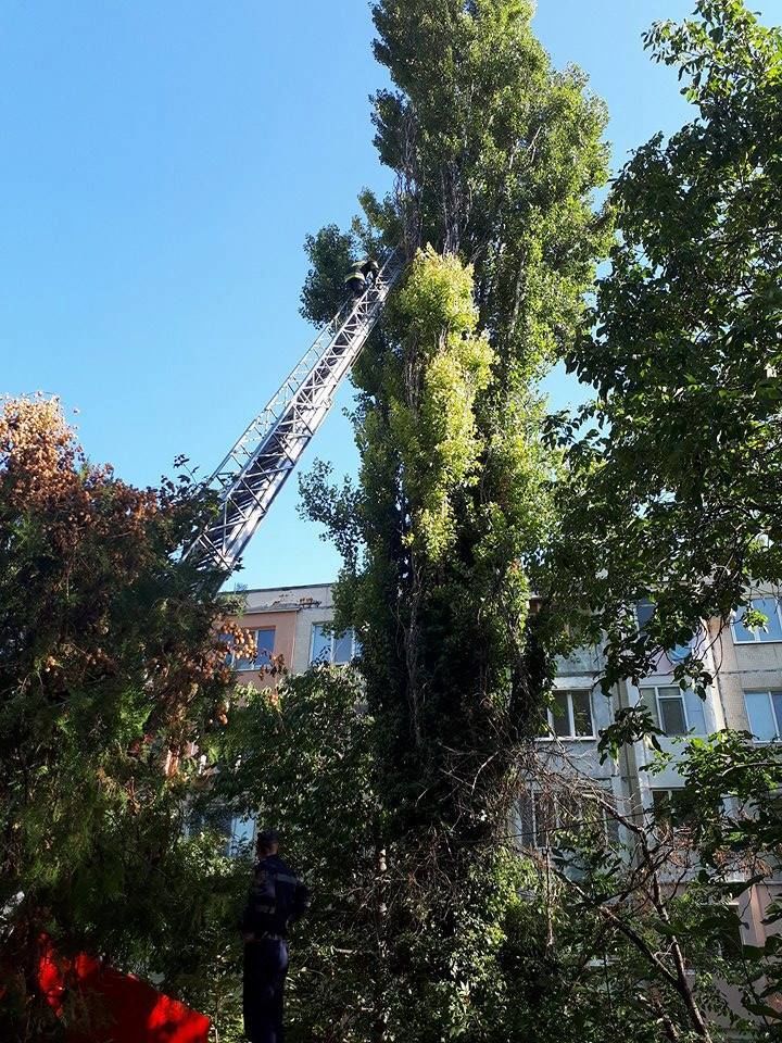 Столичные пожарные провели необычную операцию спасения