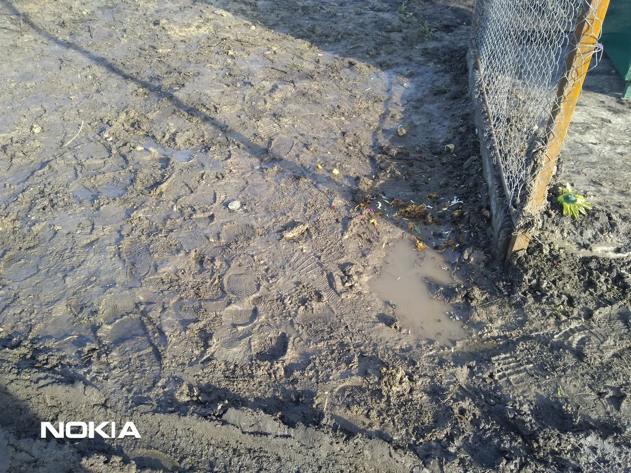 Власти проигнорировали просьбу гражданина, навести порядок на кладбище