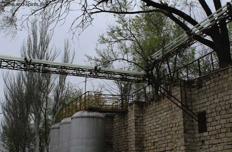 Carlevana Winery переживает ренессанс ®