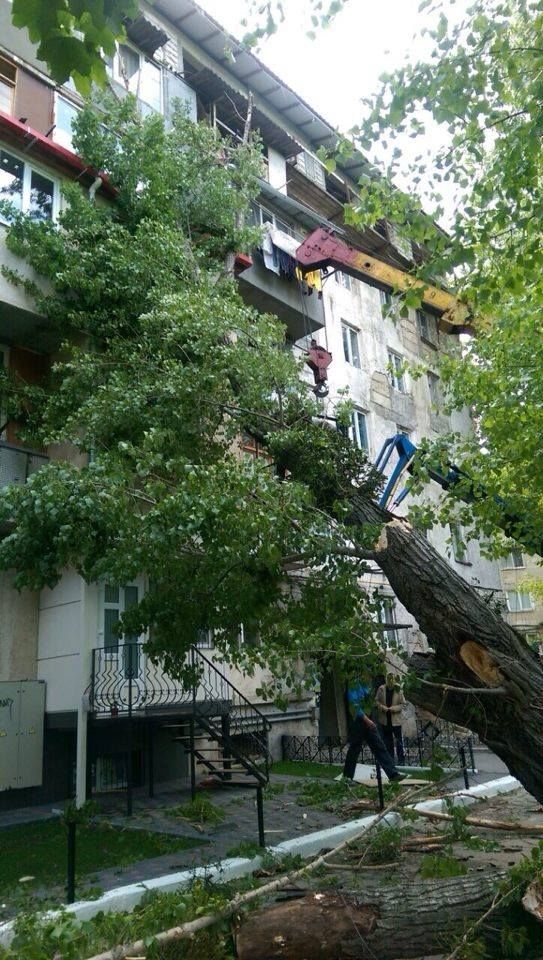 В Кишиневе на жилой дом упало дерево