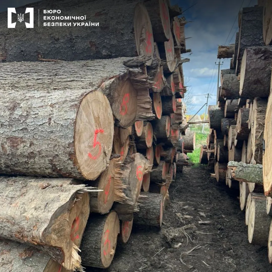 В Украине ликвидировали канал незаконного вывоза древесины в Молдову