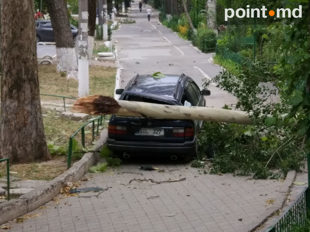 В Кишиневе огромная ветка упала на автомобиль