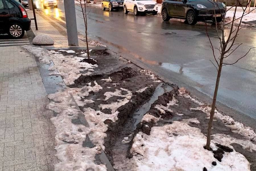 Чебан возмущен "героями", которые "протестировали" зеленую зону в центре столицы