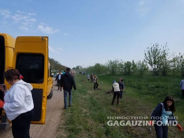 В Чадыр-Лунге готовятся к наплыву гостей на праздник Хедерлез