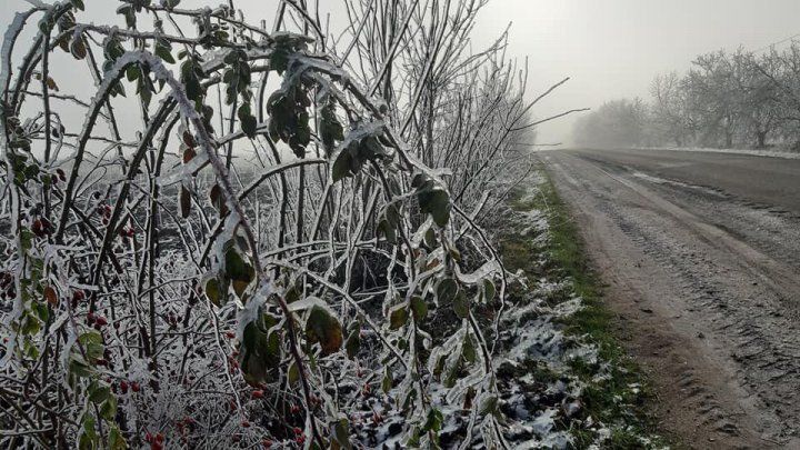Зима на пороге: сказочные пейзажи запечатлели в Сорокском районе