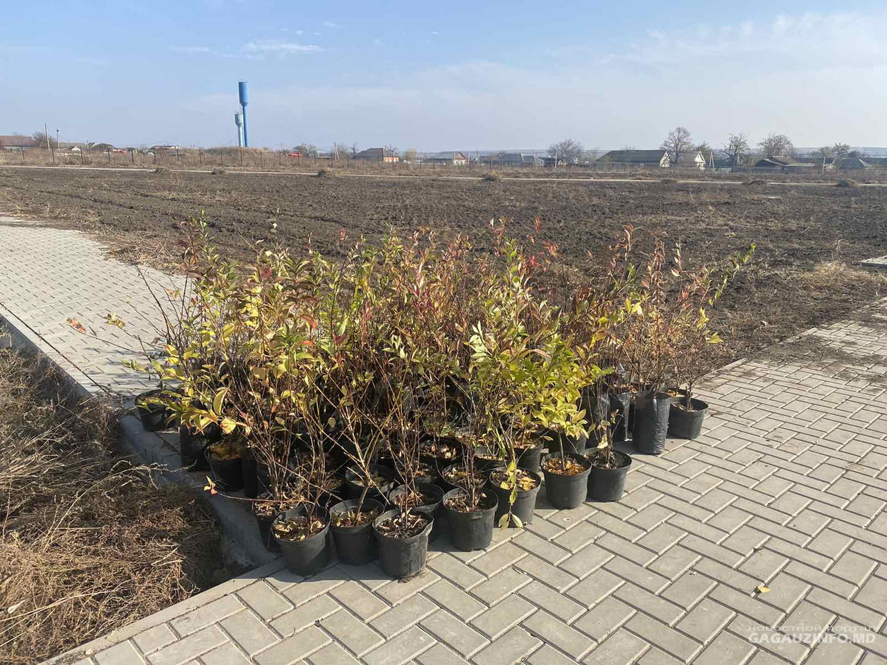 В Конгазе на месте пустыря появится «Парк мечты»