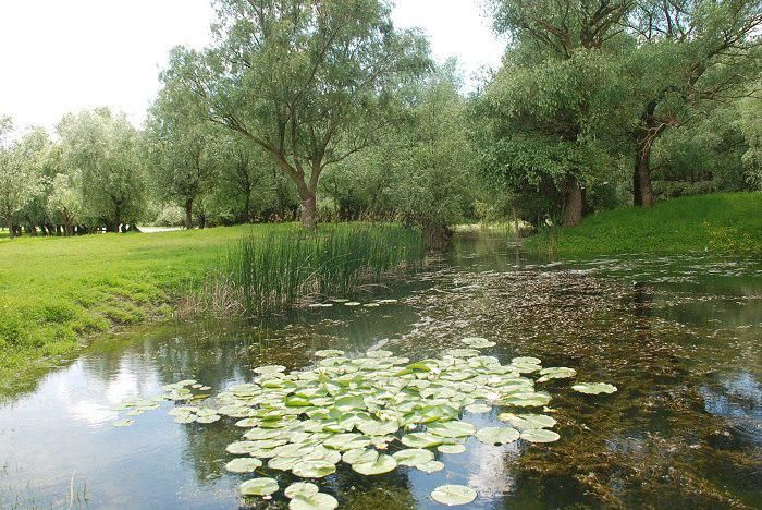 Заповедник Нижний Прут внесен в реестр ЮНЕСКО