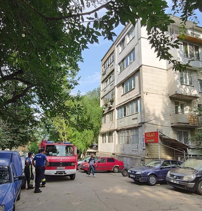 Рой пчел «взял штурмом» балкон квартиры в столичном секторе Ботаника