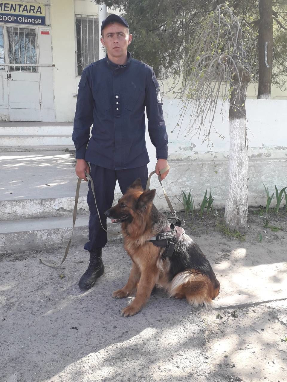 Служебный пес вывел пограничников на след вора, обокравшего продмаг в Тудоре