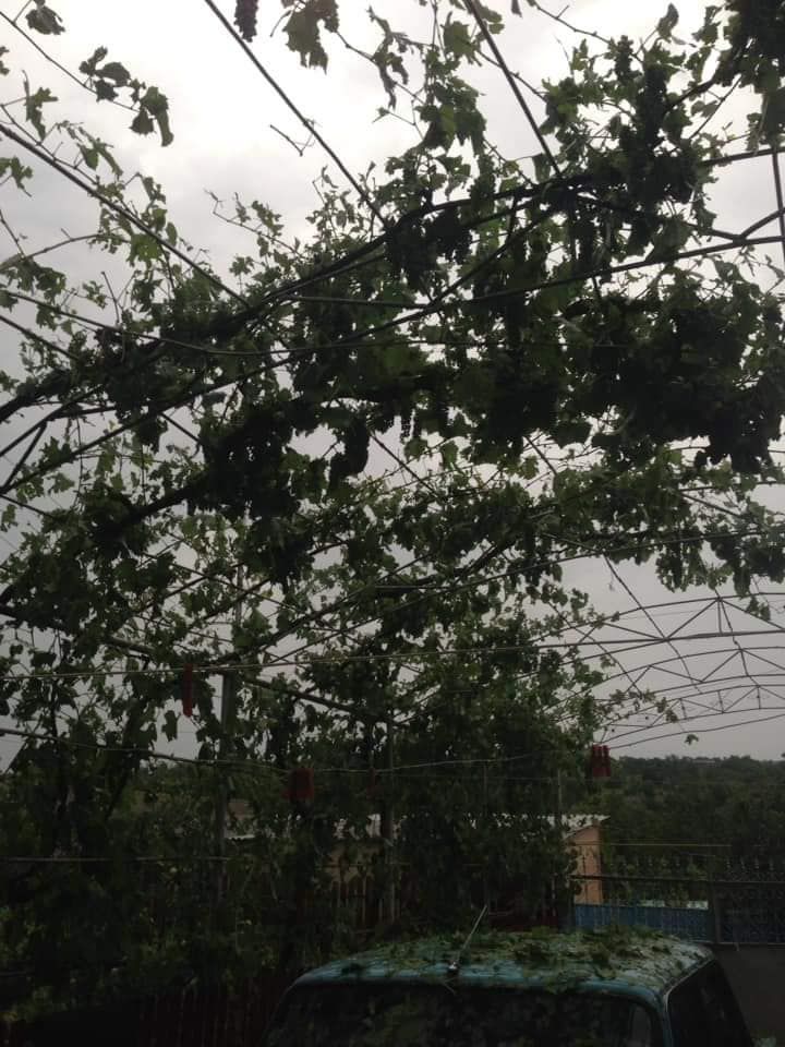 В Каушанском районе хозяйства терпят убытки из-за ливня с градом