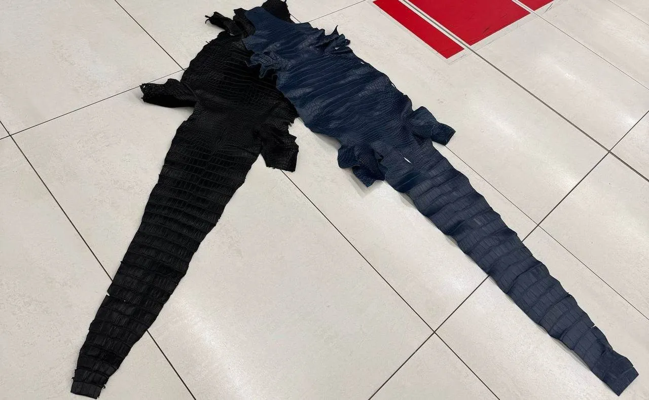 Piei de crocodil, descoperite în bagajul unui pasager pe Aeroportul Chișinău