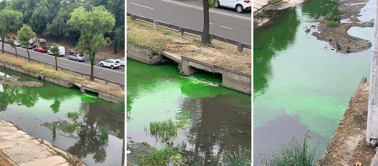 Вода в реке Бык позеленела: Минприроды дало пояснения