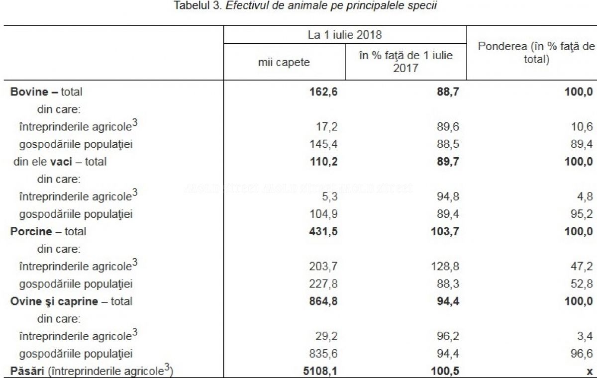 Снижение поголовья коров ведет к исчезновению молока отечественного производства