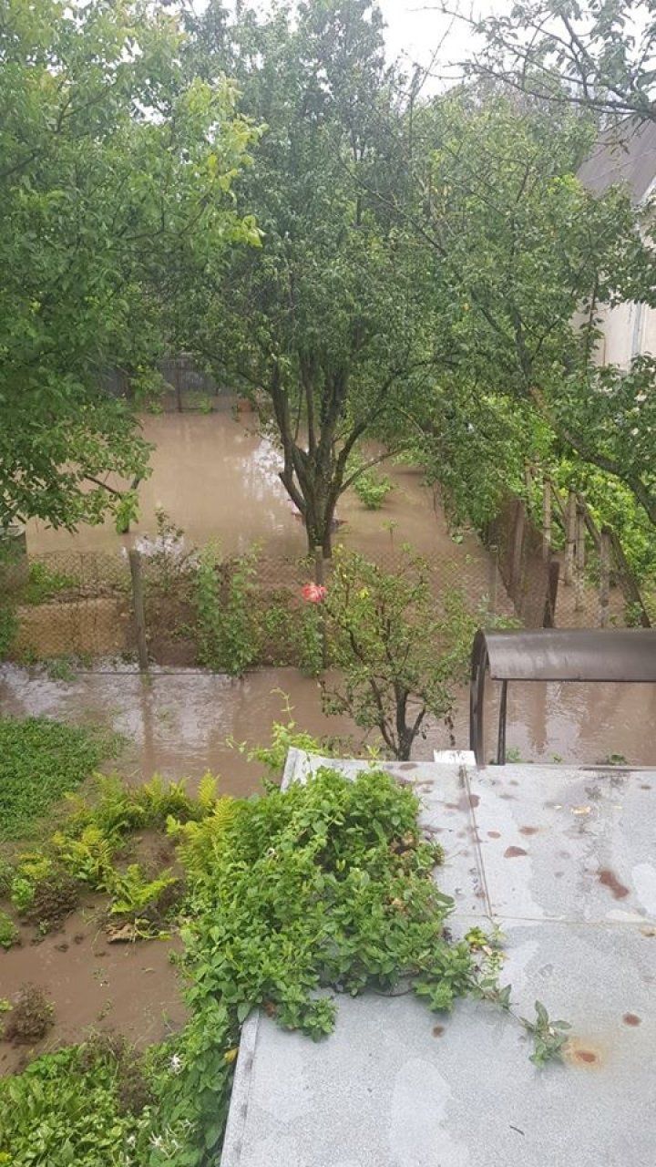 В Вадул-луй-Водэ многие хозяйства затоплены
