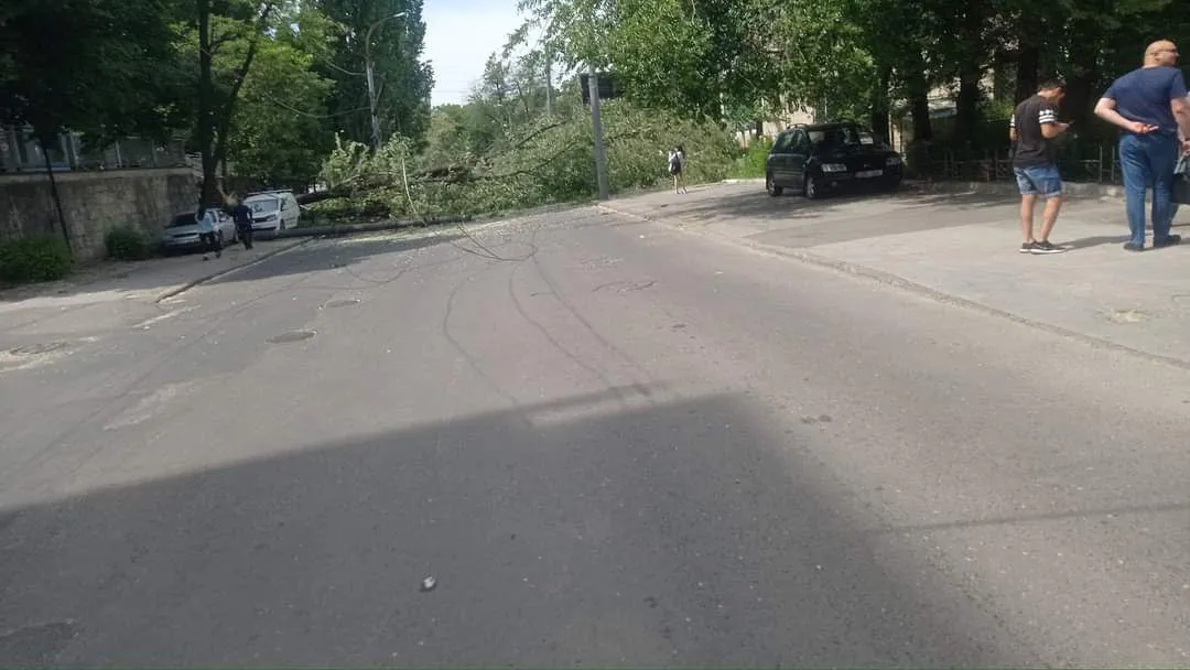 В Кишиневе упавшее дерево повредило автомобиль и опоры ЛЭП