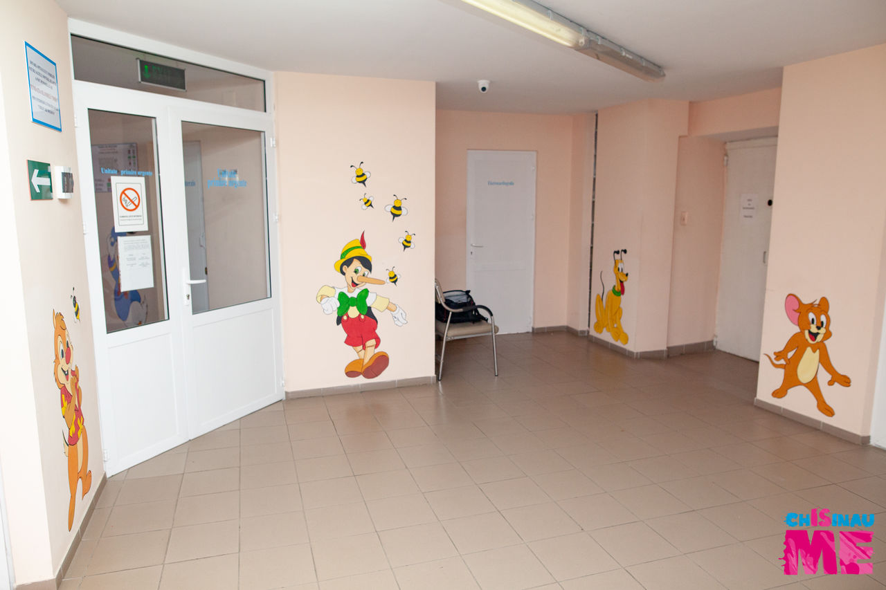 Художник из Chisinau is ME разукрасила стены городской больницы