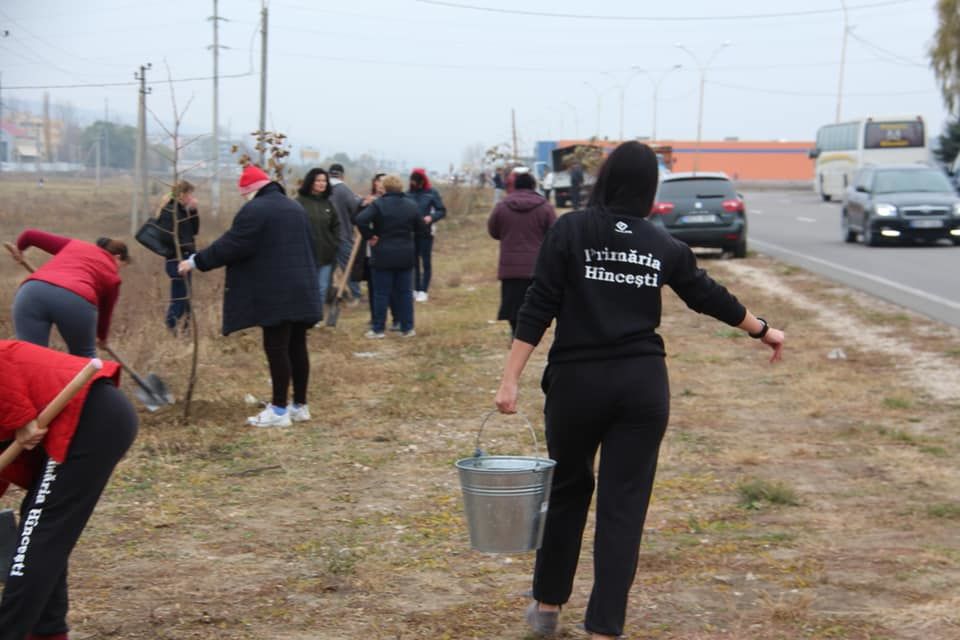 В Хынчештах провели акцию по озеленению города