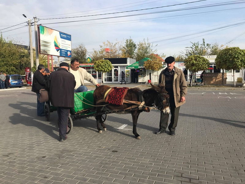 Комрат готовится ко Дню вина