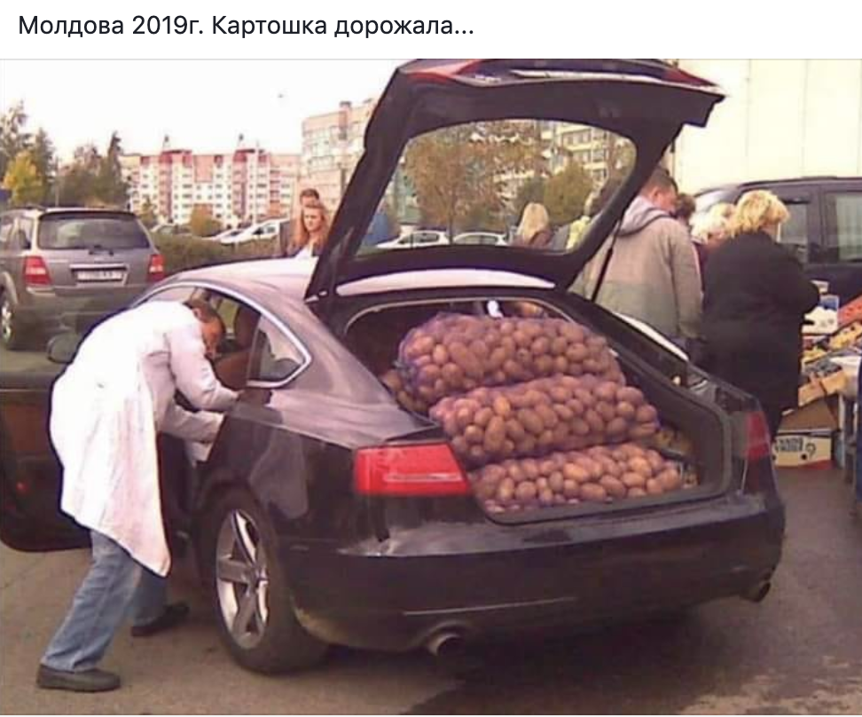 Гражданам предлагают пересесть на троллейбусы и не покупать картошку