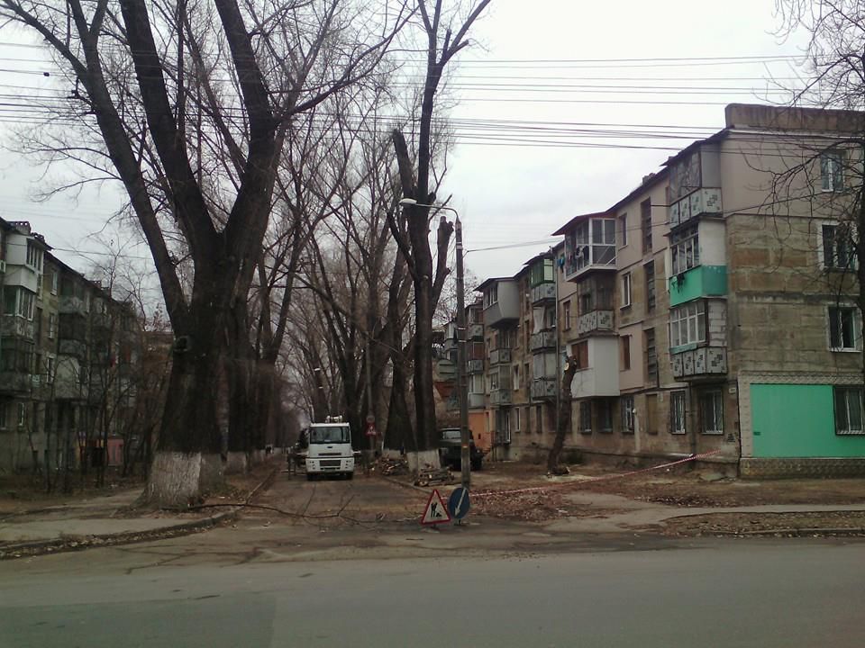 В Кишиневе продолжается вырубка деревьев: теперь на Ботанике