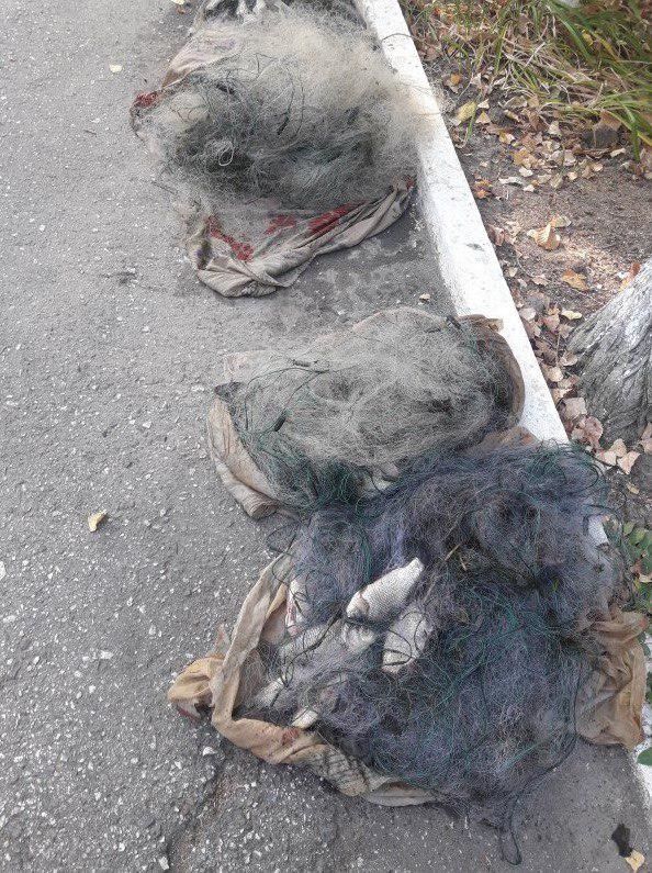 Пограничники поймали браконьеров с запрещенными рыболовными снастями и 25 кг рыбы