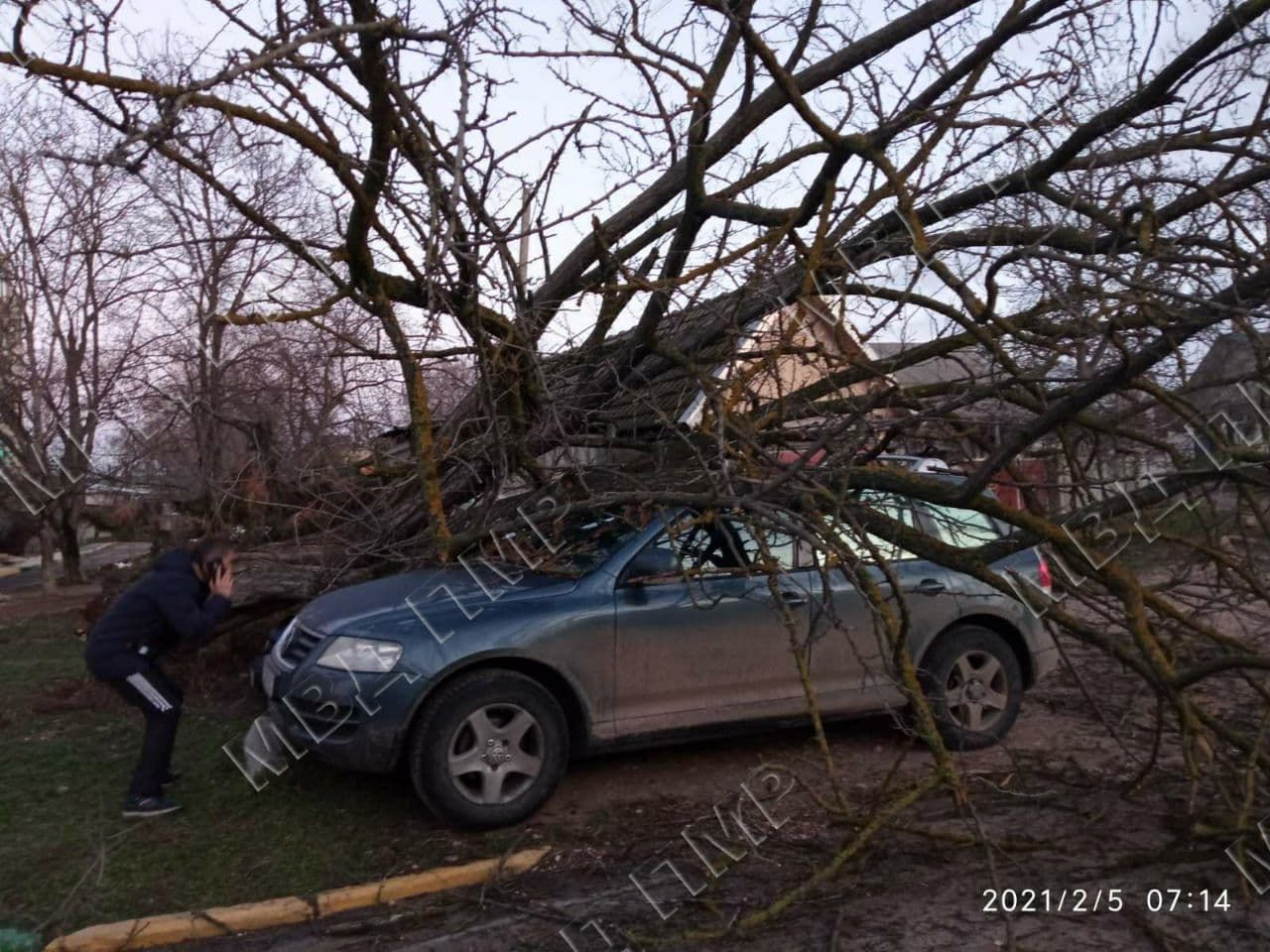 Упавшее дерево повредило два автомобиля в Дубоссарах