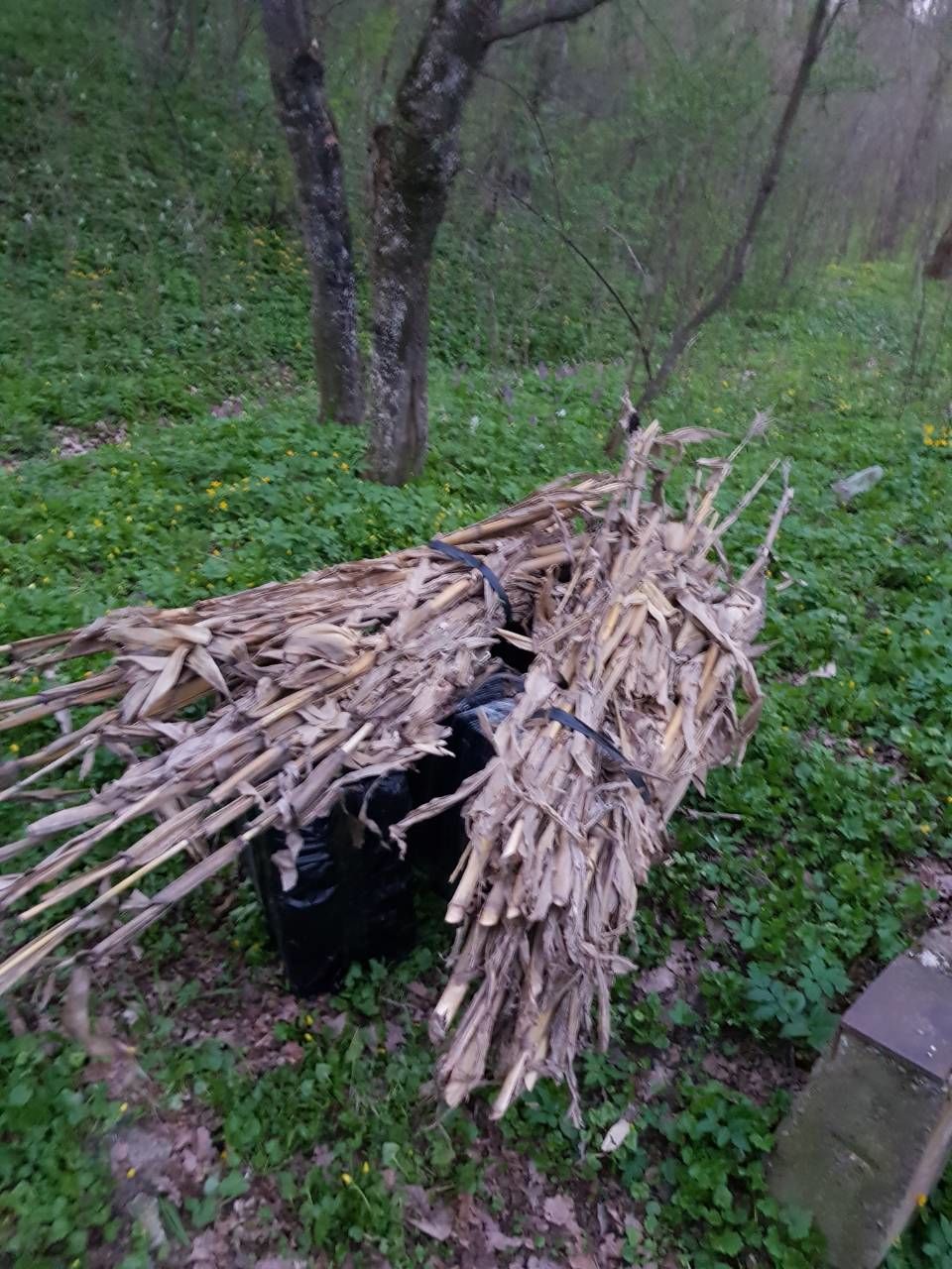 Жителю Бричан не удалось заработать €250 на контрабанде 40 000 сигарет
