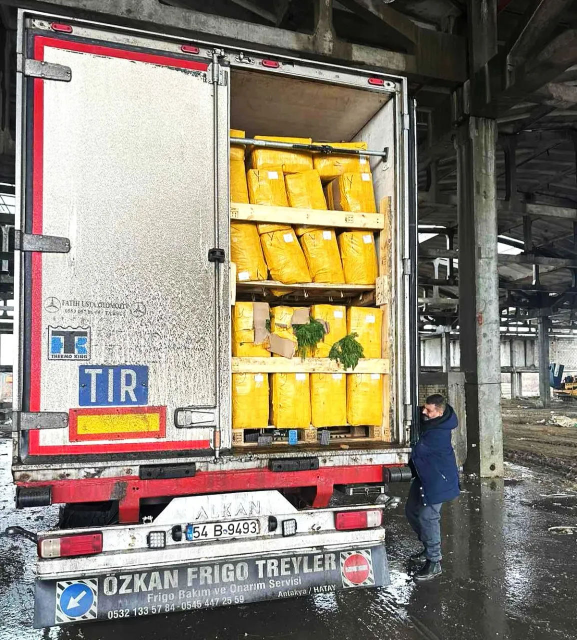ANSA уничтожило 15 тонн импортного укропа с высоким содержанием пестицидов