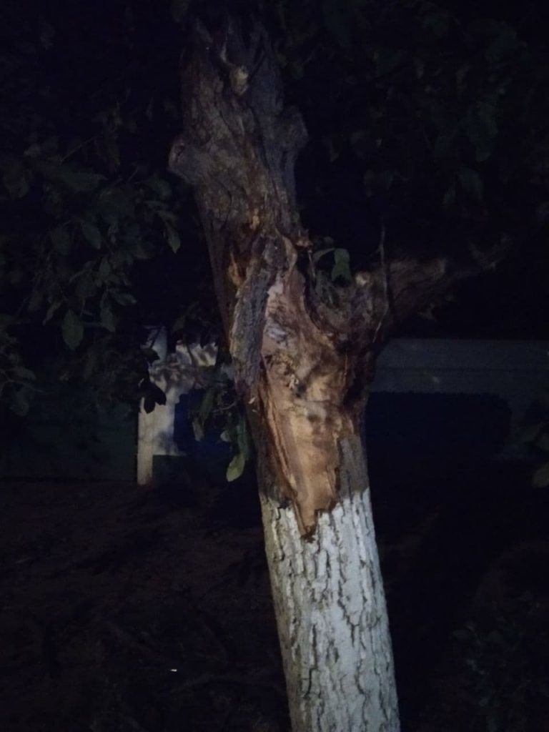 В Дубоссарском районе автомобиль врезался в дерево