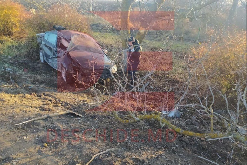 В Штефан-Водском районе произошло ДТП: столкнулись грузовик и легковушка