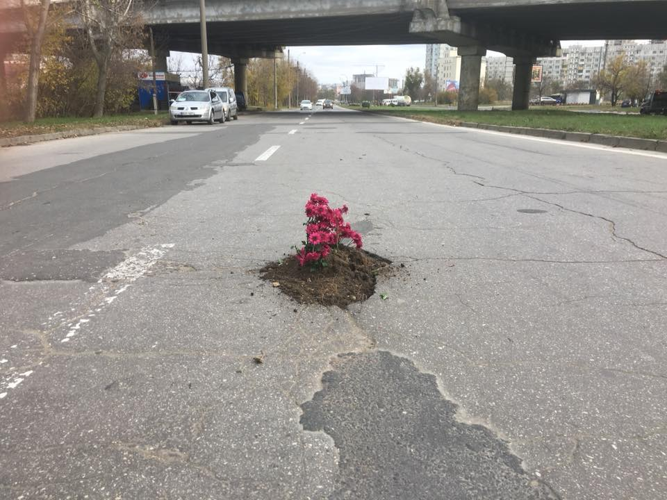 Imaginea zilei: Flori sădite într-o groapă în asfalt din Capitală