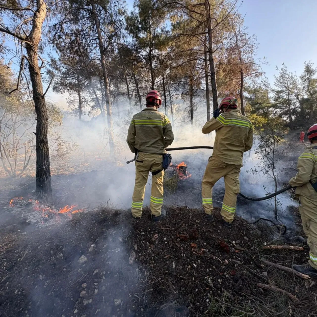Incendiul de pădure din Izmir nu poate fi localizat deja de două zile