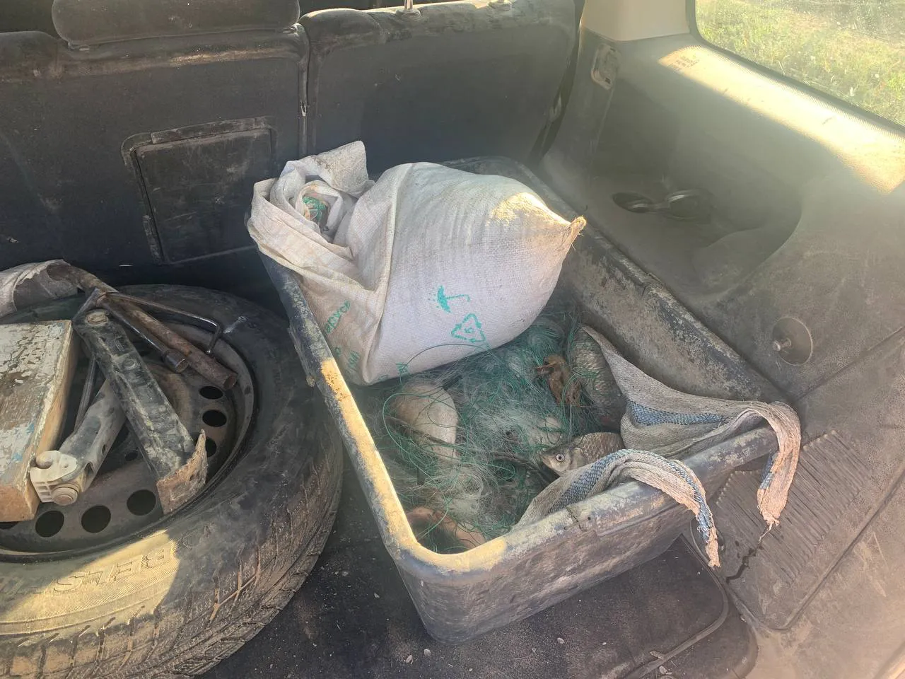 Четверо граждан Молдовы подозревают в незаконной ловле рыбы на границе