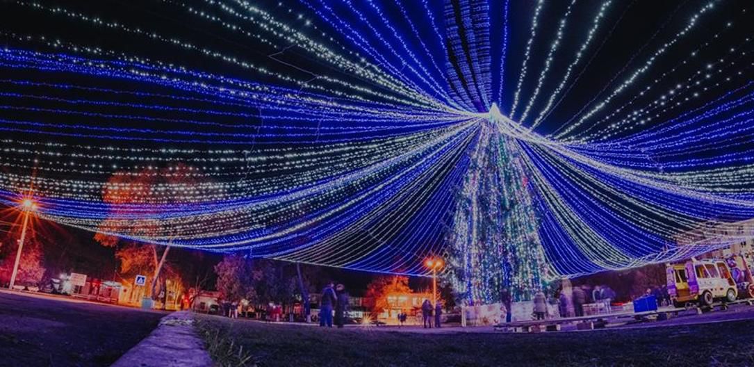 Сороки нарядились в самый экстравагантный праздничный наряд