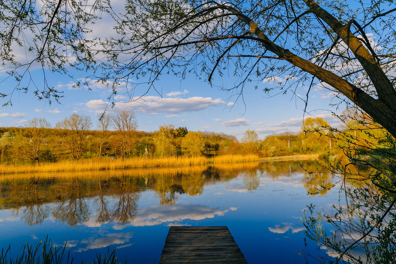 Rezervația naturală Plaiul Fagului