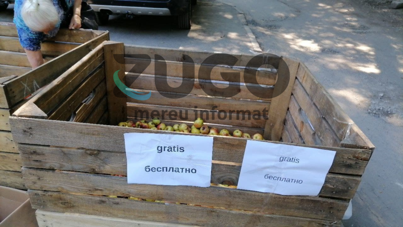 На Рышкановке кто-то оставил 2 ящика яблок, которые можно брать бесплатно
