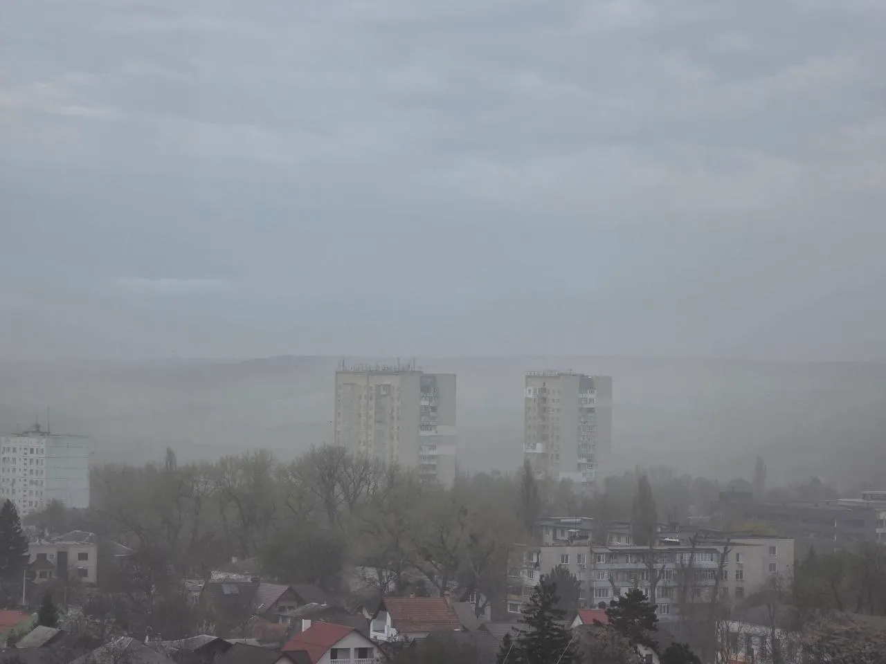 В Рыбнице дерево упало на здание из-за сильного ветра