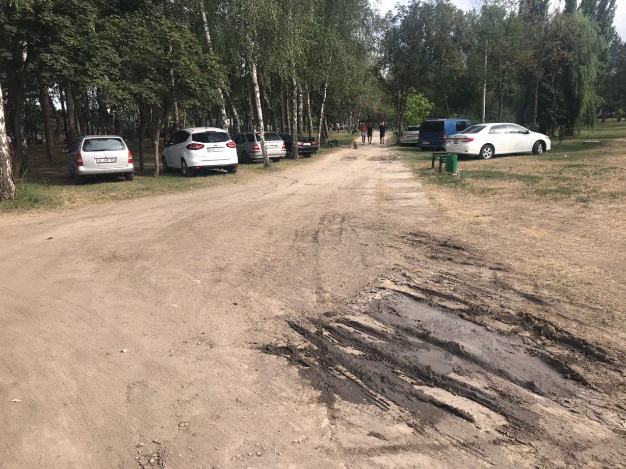 Автомобилисты стали парковаться прямо в парке на Скулянке