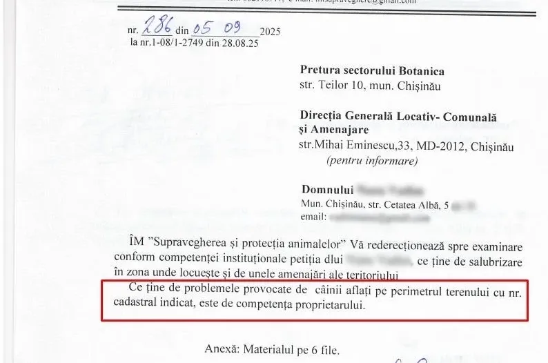 Жители Ботаники жалуются на агрессивную стаю бездомных собак